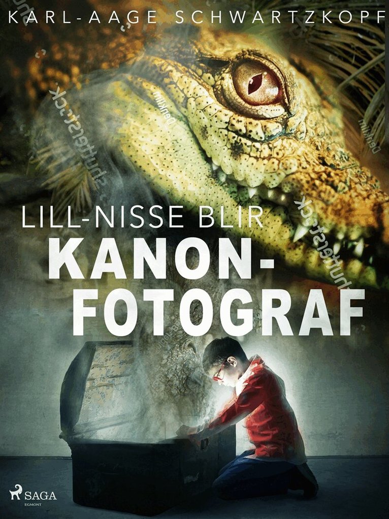Karl-Aage Schwartzkopf - Lill-Nisse blir kanonfotograf, E-bok