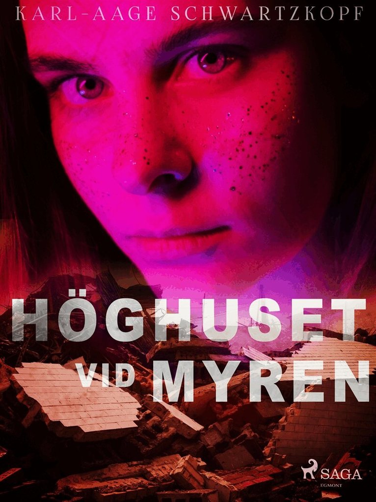 Karl-Aage Schwartzkopf - Höghuset vid myren, E-bok