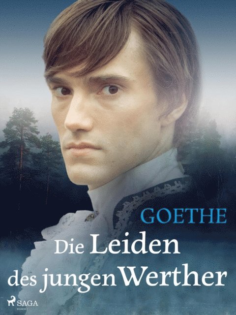 Johann Wolfgang von Goethe - Die Leiden des jungen Werther, E-bok