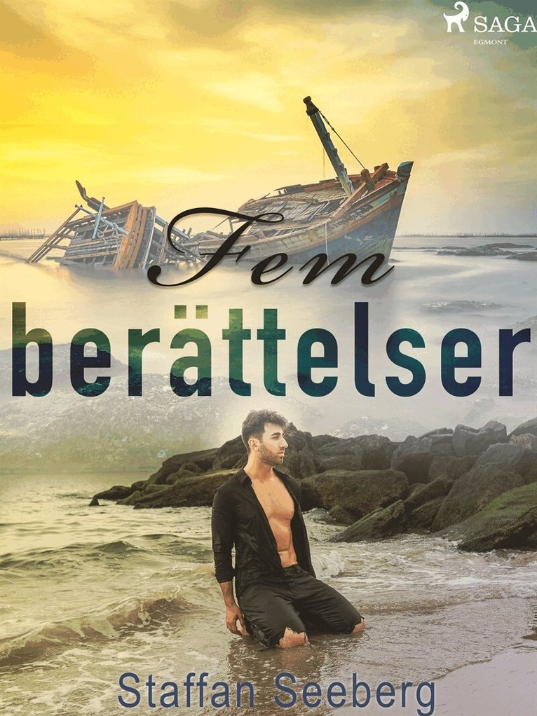 Staffan Seeberg - Fem berättelser, E-bok