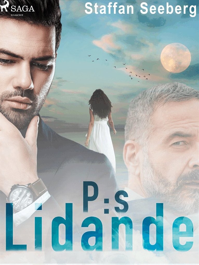 Staffan Seeberg - P:s lidanden, E-bok