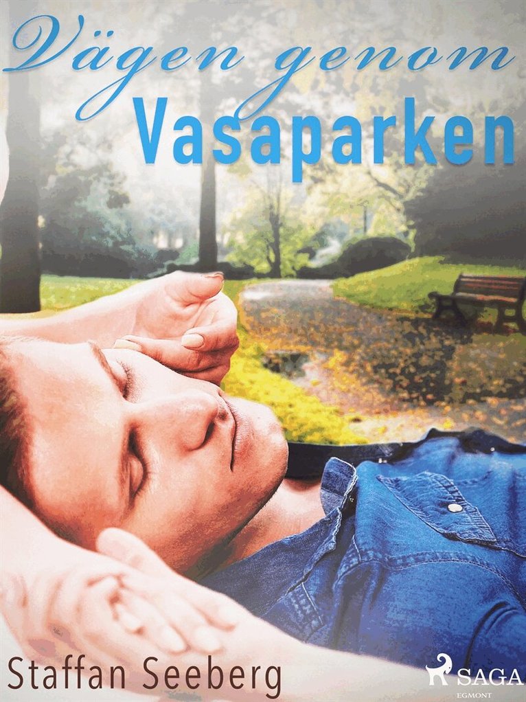 Staffan Seeberg - Vägen genom Vasaparken, E-bok