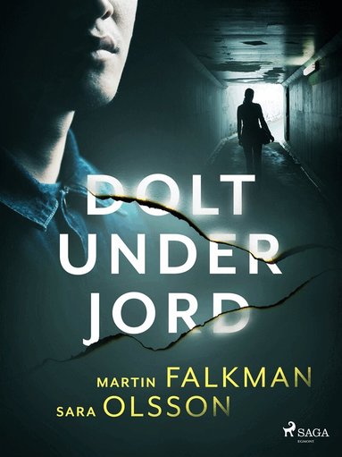 Sara Olsson, Martin Falkman - Dolt under jord, E-bok