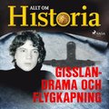 Gisslandrama och flygkapning