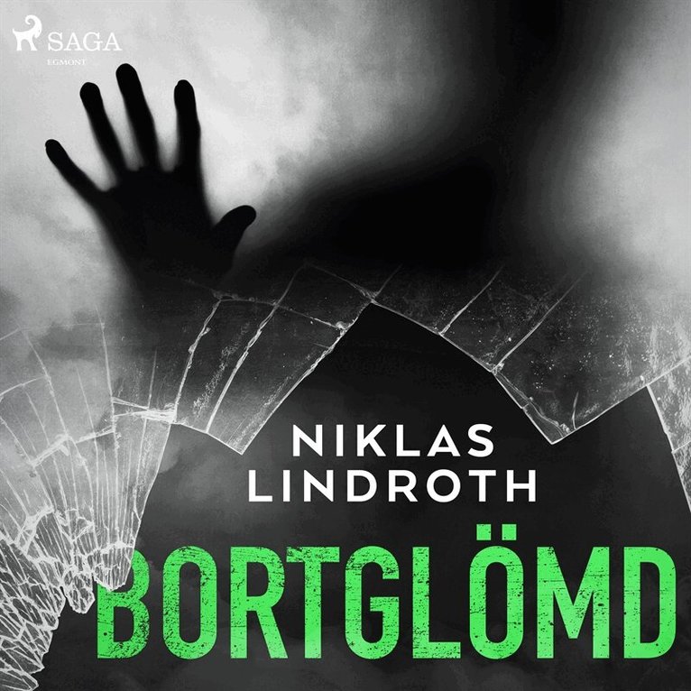 Niklas Lindroth - Bortglömd, Ljudbok