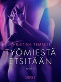 Tymiest etsitn Osa 1 - eroottinen novelli