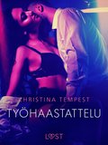Tyhaastattelu ? eroottinen novelli