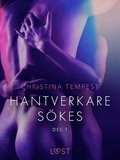 Hantverkare skes Del 1 - erotisk novell