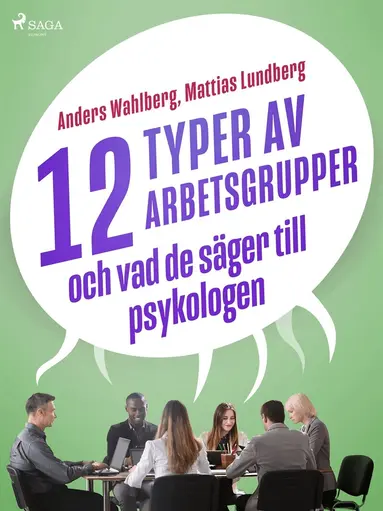 Mattias Lundberg, Anders Wahlberg - 12 typer av arbetsgrupper - och vad de säger till psykologen, E-bok