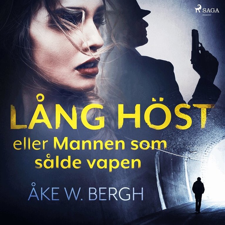 Åke W. Bergh - Lång höst eller Mannen som sålde vapen, Ljudbok