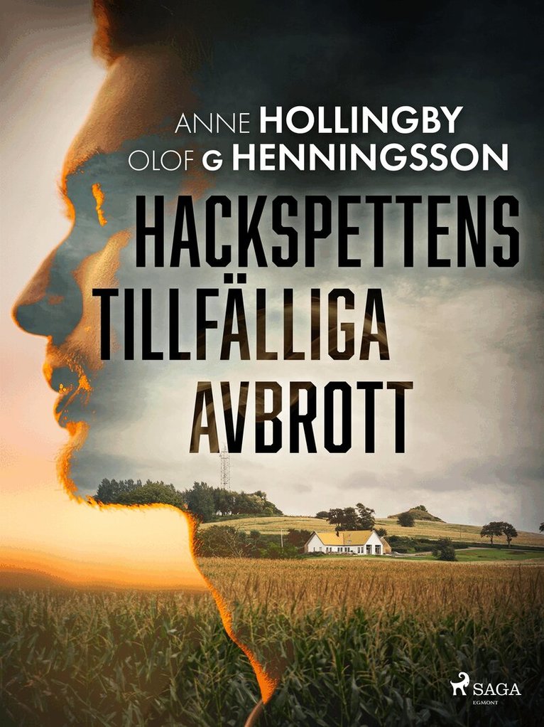 Anne Hollingby, Olof G. Henningson - Hackspettens tillfälliga avbrott, E-bok