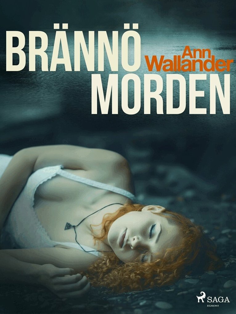 Ann Wallander - Brännömorden, E-bok