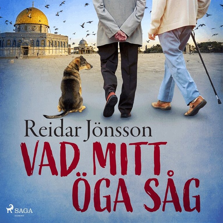 Reidar Jönsson - Vad mitt öga såg, Ljudbok
