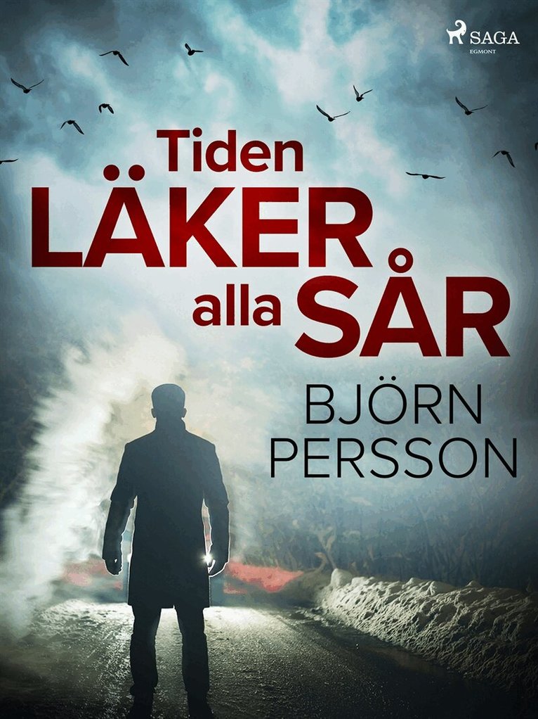 Björn Persson - Tiden läker alla sår, E-bok