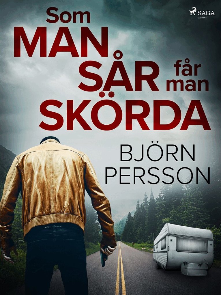 Björn Persson - Som man sår får man skörda, E-bok