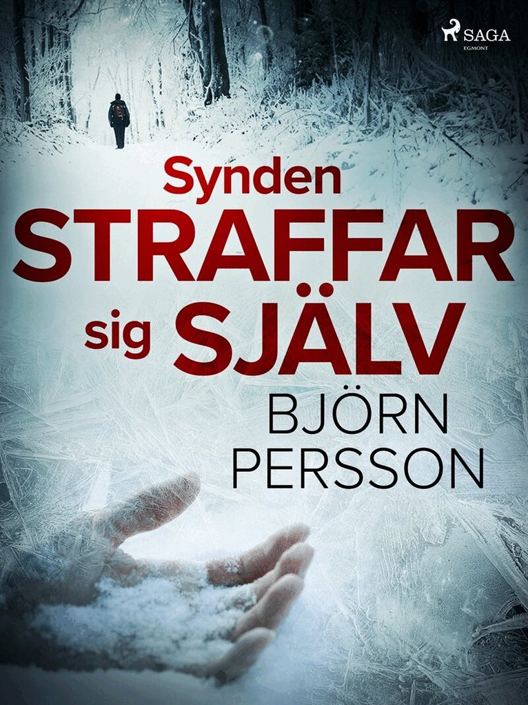 Björn Persson - Synden straffar sig själv, E-bok