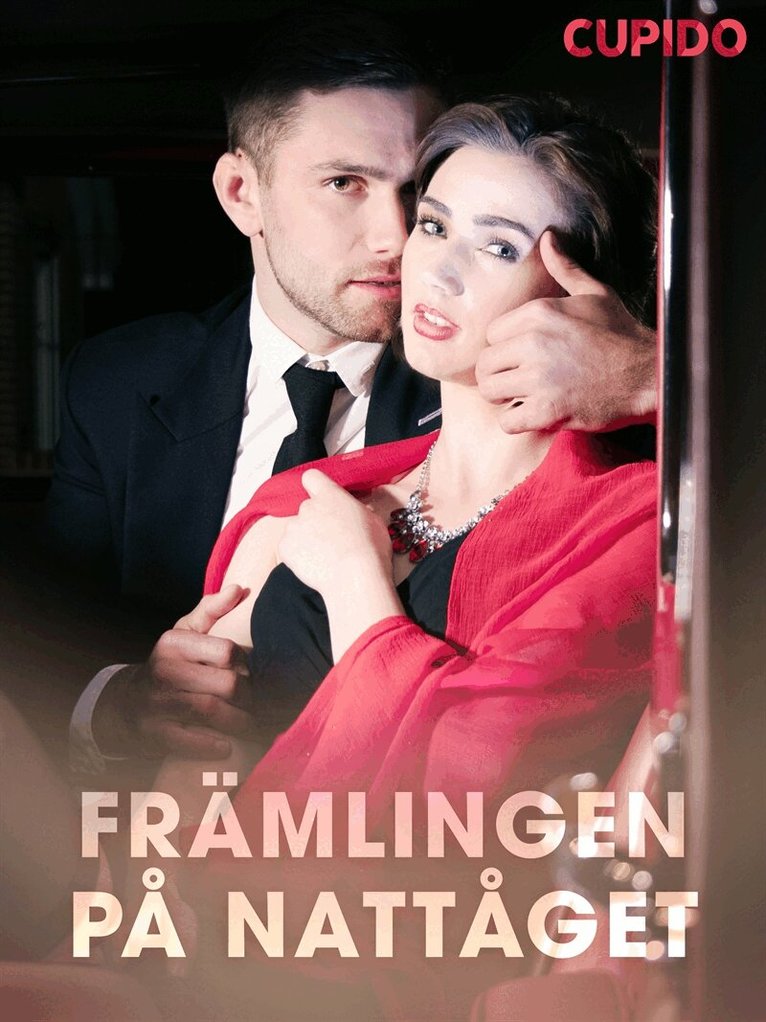 Cupido - Främlingen på nattåget, E-bok