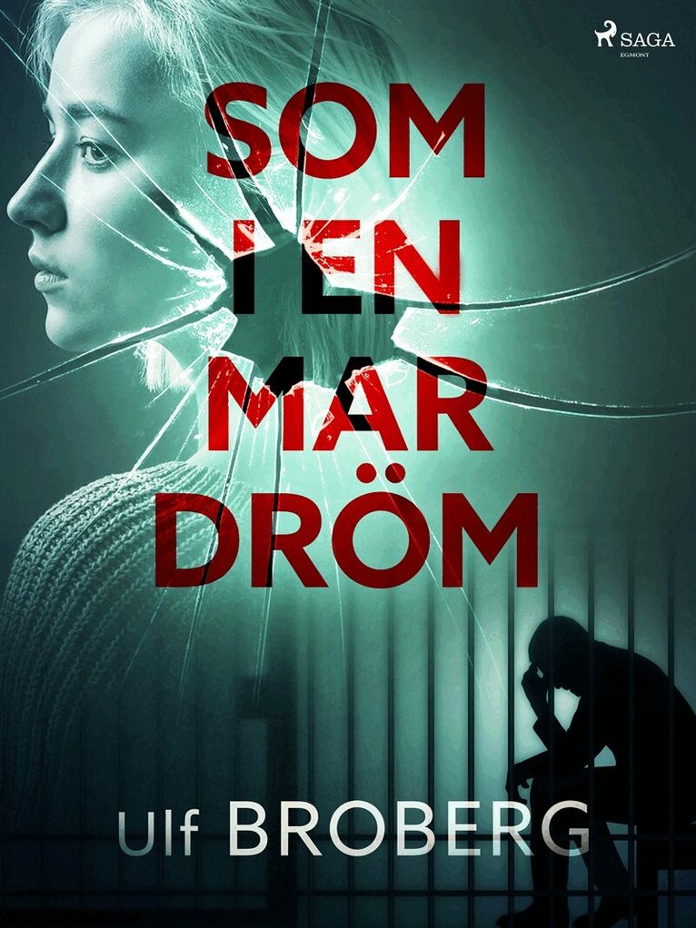 Ulf Broberg - Som i en mardröm, E-bok