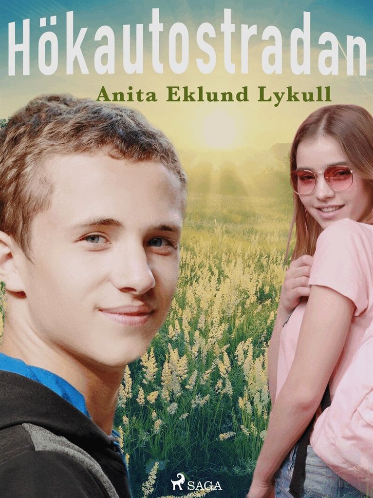 Anita Eklund Lykull - Hökautostradan, E-bok