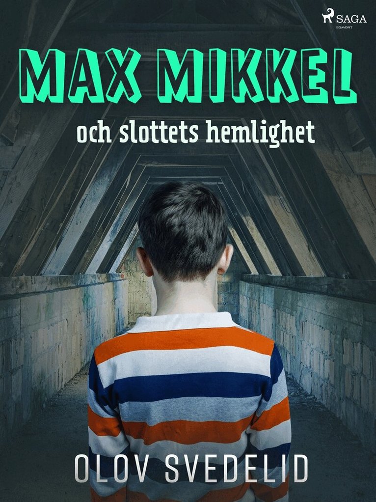 Olov Svedelid - Max Mikkel och slottets hemlighet, E-bok