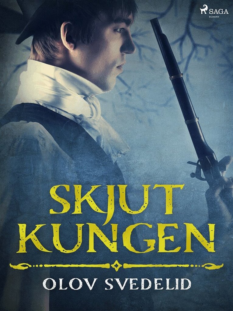 Olov Svedelid - Skjut kungen, E-bok
