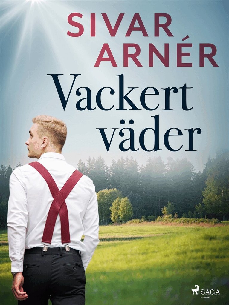 Sivar Arnér - Vackert väder, E-bok