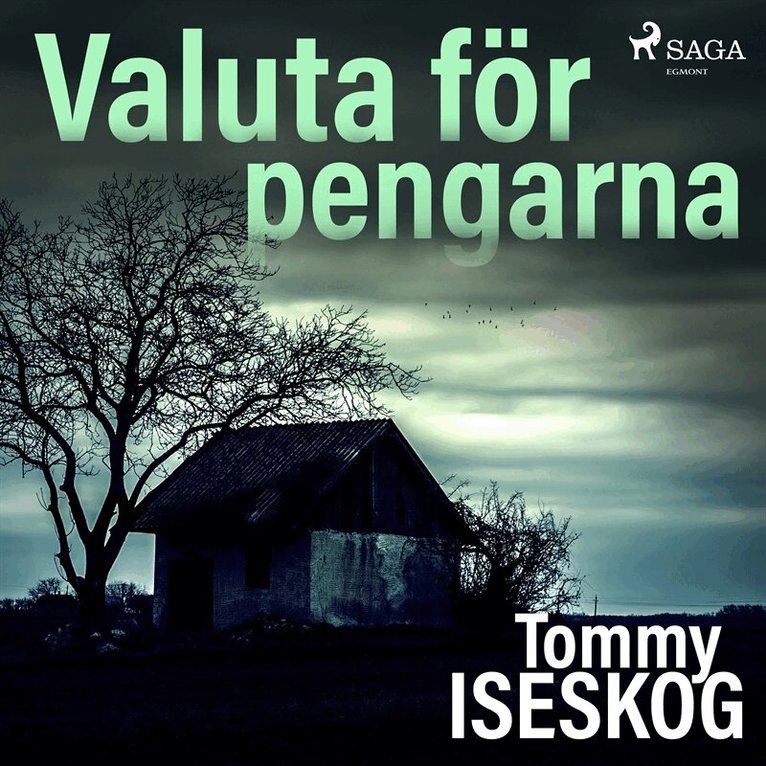 Tommy Iseskog - Valuta för pengarna, Ljudbok