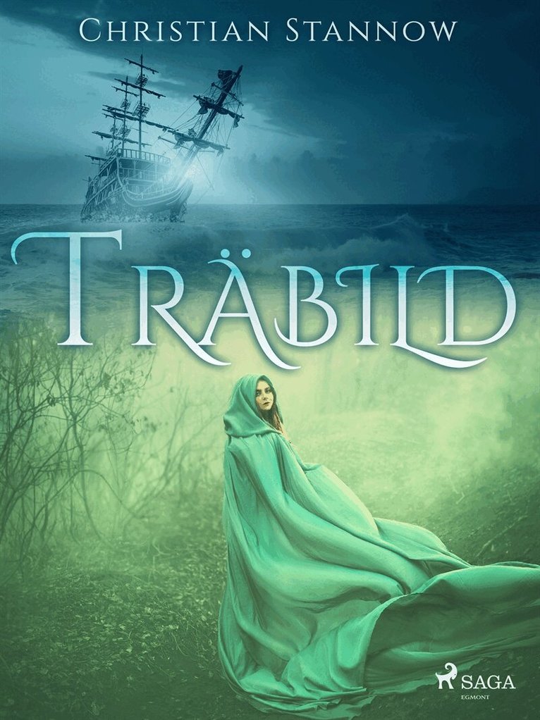 Christian Stannow - Träbild, E-bok