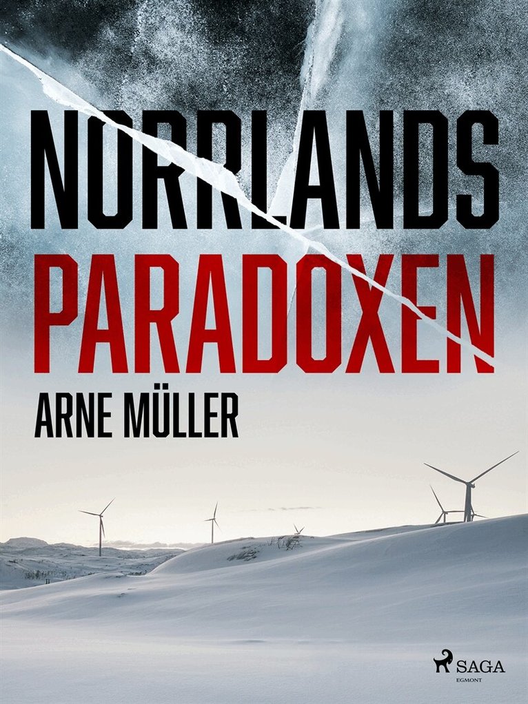 Arne Müller - Norrlandsparadoxen, E-bok
