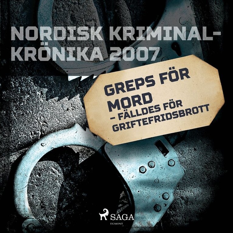 Diverse - Greps för mord – fälldes för griftefridsbrott, Ljudbok