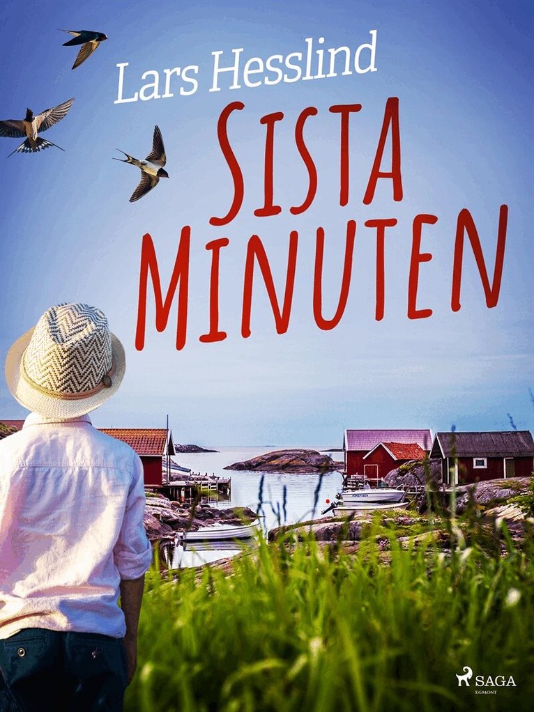 Lars Hesslind - Sista Minuten, E-bok