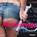 Motorstopp - erotisk novell