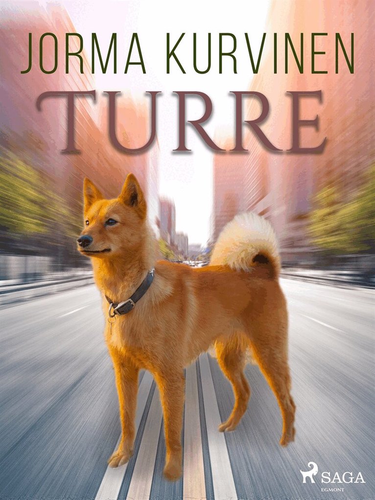 Jorma Kurvinen - Turre, E-bok