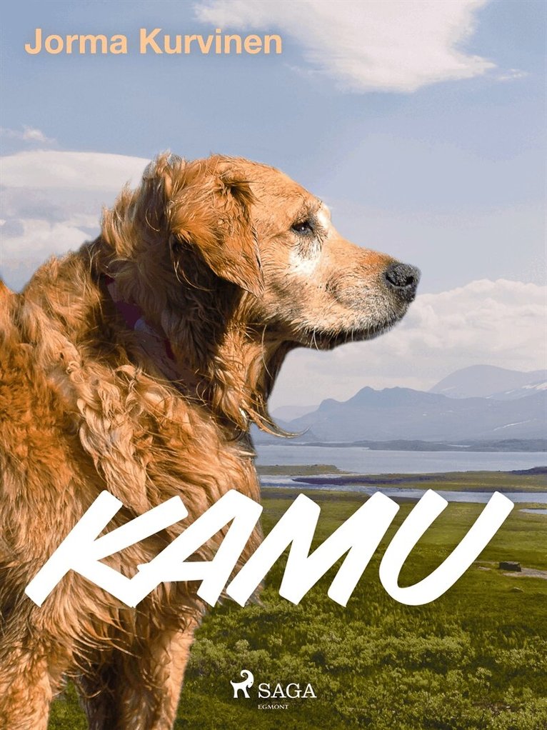Jorma Kurvinen - Kamu, E-bok