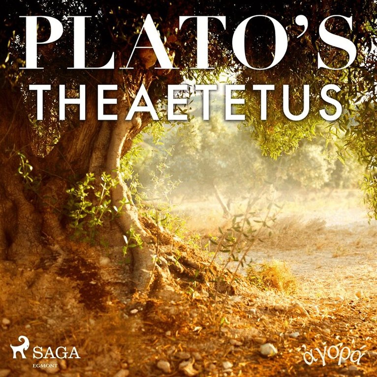 Plato - Plato’s Theaetetus, Ljudbok