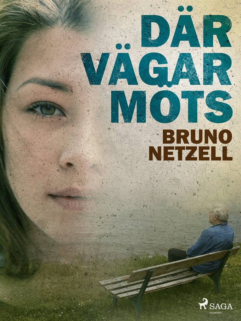 Bruno Netzell - Där vägar möts, E-bok