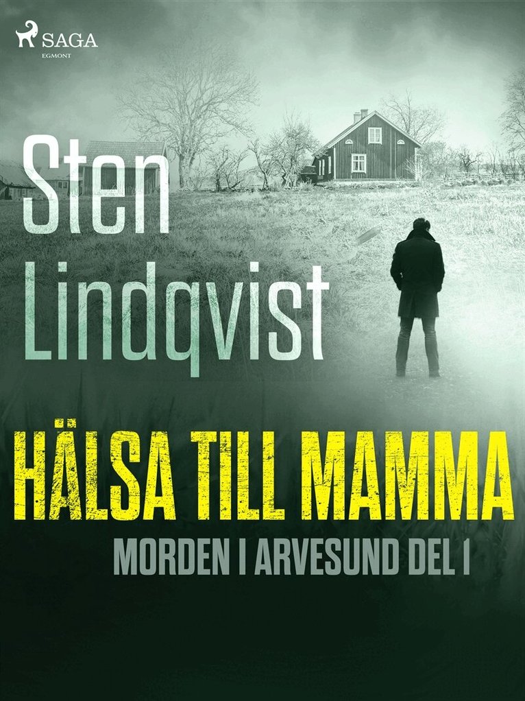 Sten Lindqvist - Hälsa till mamma, E-bok