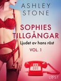 Sophies tillgngar vol. 1: Ljudet av hans rst - erotisk novell