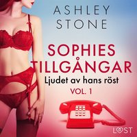 Sophies tillgngar vol. 1: Ljudet av hans rst - erotisk novell