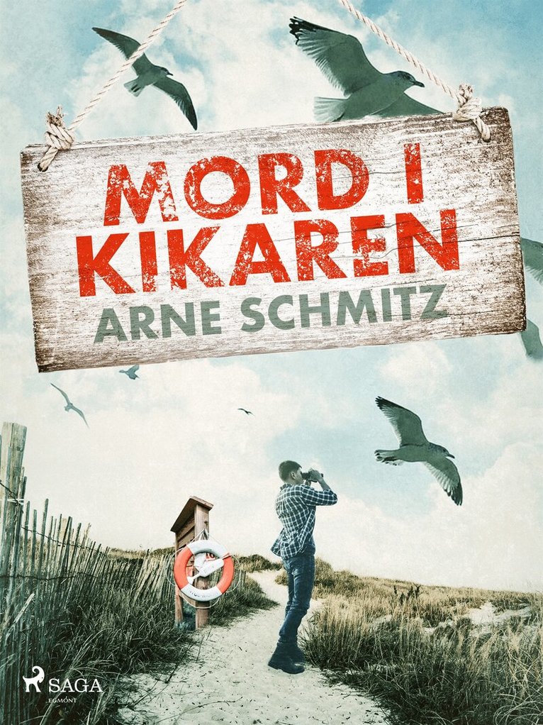 Arne Schmitz - Mord i kikaren, E-bok
