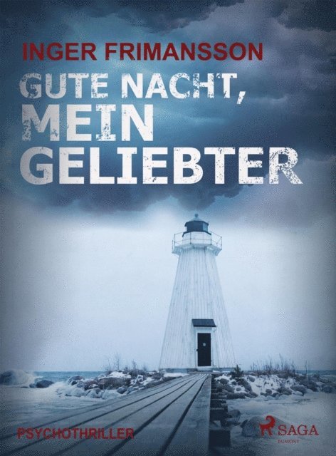Inger Frimansson - Gute Nacht, mein Geliebter - Psychothriller, E-bok