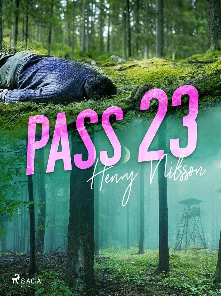 Henry Nilsson - Pass 23, E-bok
