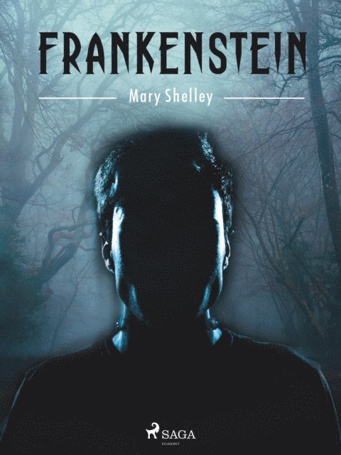 Mary Shelley - Frankenstein, E-bok