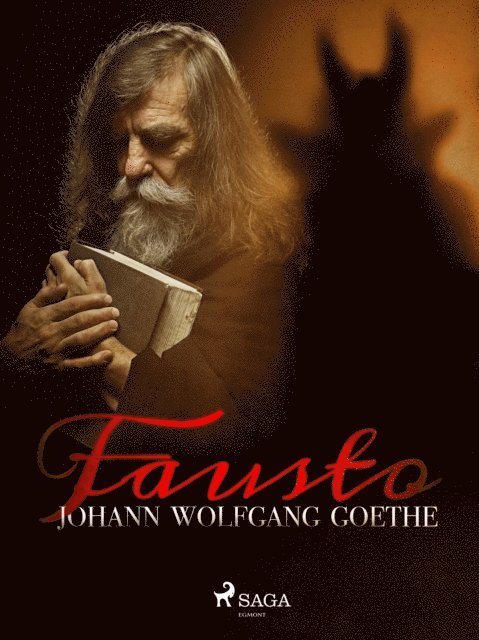 Johann Wolfgang von Goethe - Fausto, E-bok