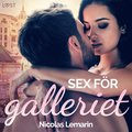 Sex fr galleriet - erotisk novell