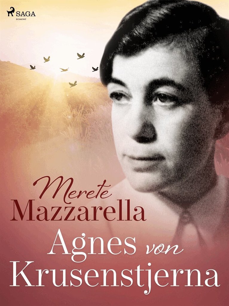 Merete Mazzarella - Agnes von Krusenstjerna, E-bok