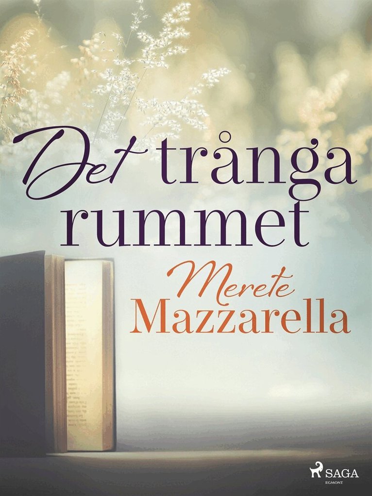 Merete Mazzarella - Det trånga rummet, E-bok