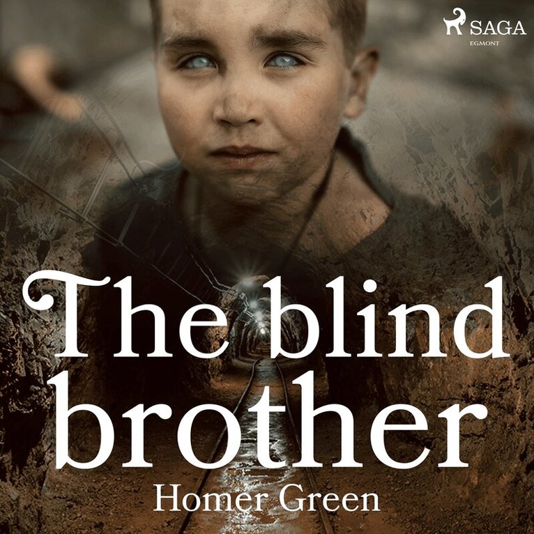 Homer Green - The Blind Brother, Ljudbok