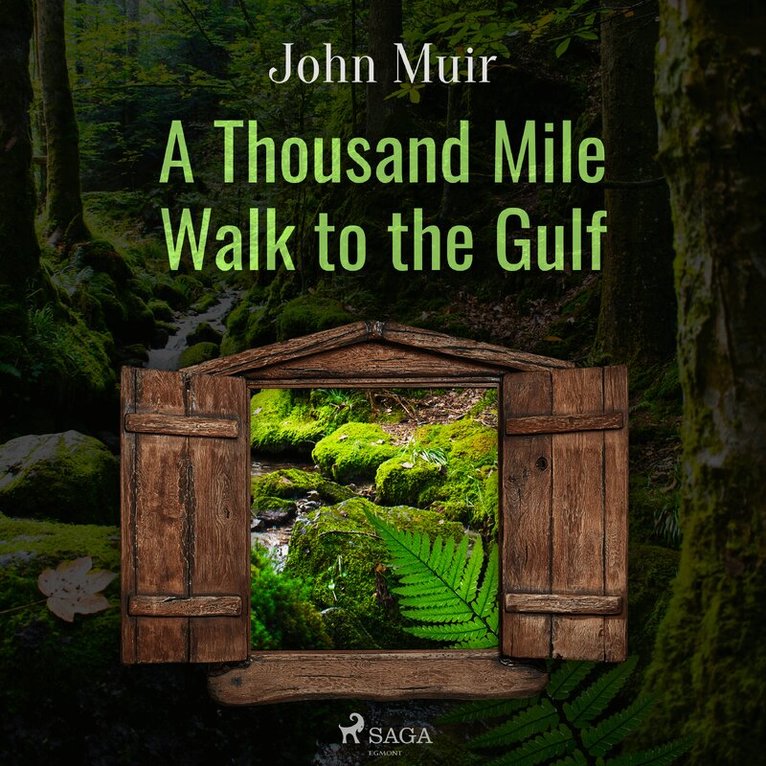 John Muir - A Thousand Mile Walk to the Gulf, Ljudbok