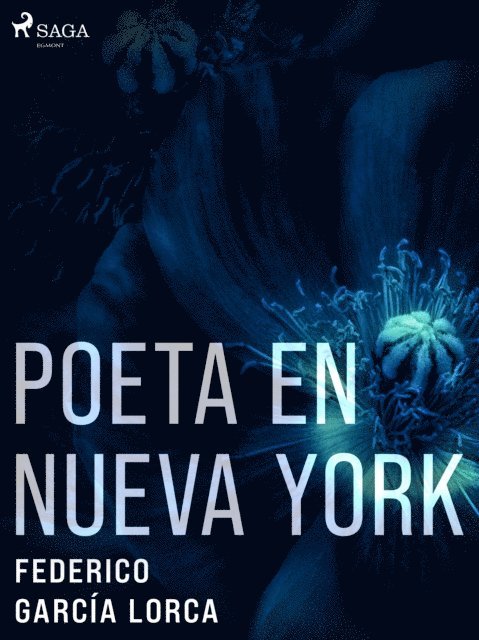 Federico Garcia Lorca - Poeta en Nueva York, E-bok